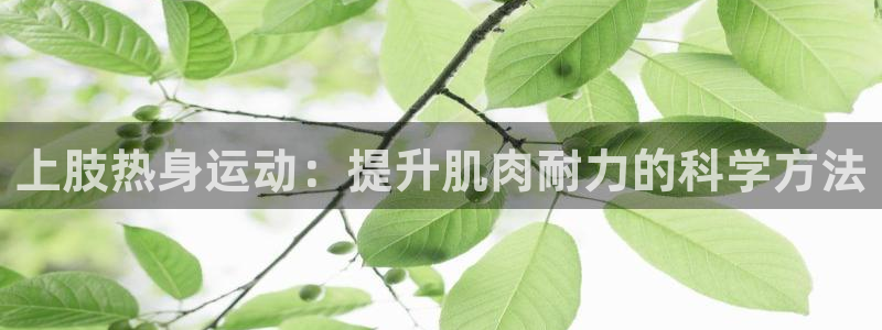 火凤体育赛事直播：上肢热身运动：提升肌肉耐力的科学方法