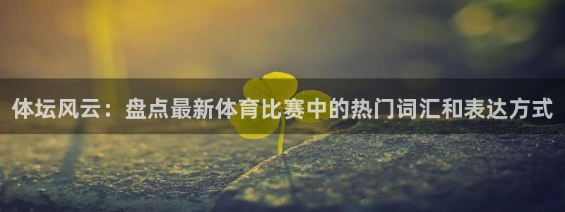 火凤体育回放：体坛风云：盘点最新体育比赛中的热门词汇和表达方式