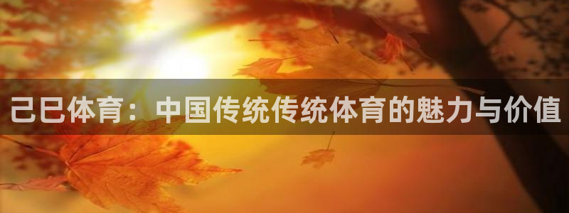 火凤体育直播高清入口：己巳体育：中国传统传统体育的魅力与价值