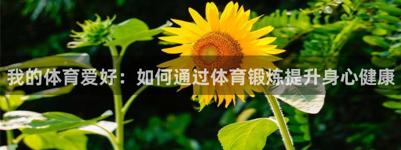 火凤体育赛事直播：我的体育爱好：如何通过体育锻炼提升身心健康