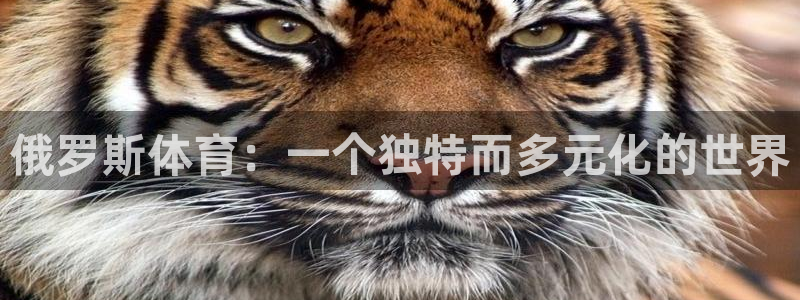 火凤体育直播高清入口：俄罗斯体育：一个独特而多元化的世界