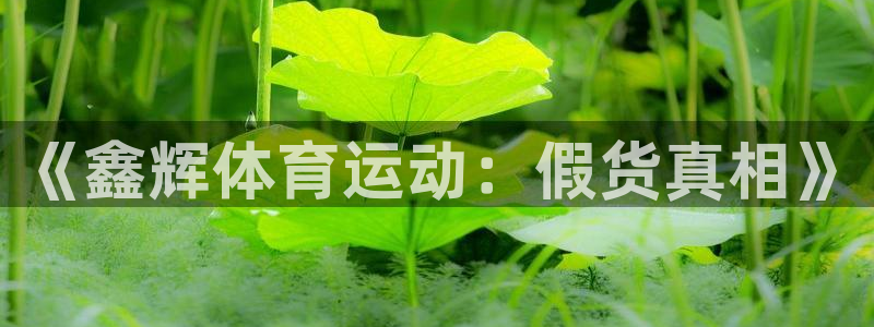 火凤体育回放：《鑫辉体育运动：假货真相》