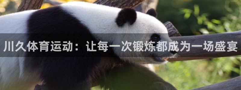 火凤体育免费直播nba：川久体育运动：让每一次锻炼都成为一场盛宴