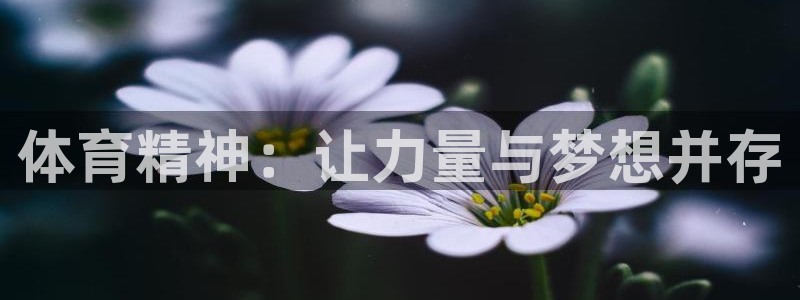 火凤体育app：体育精神：让力量与梦想并存