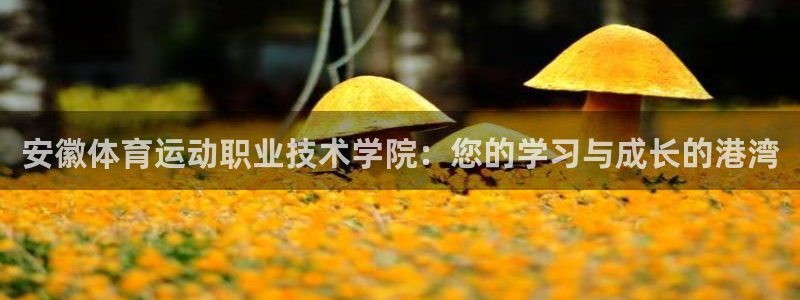 火凤体育app：安徽体育运动职业技术学院：您的学习与成长的港湾